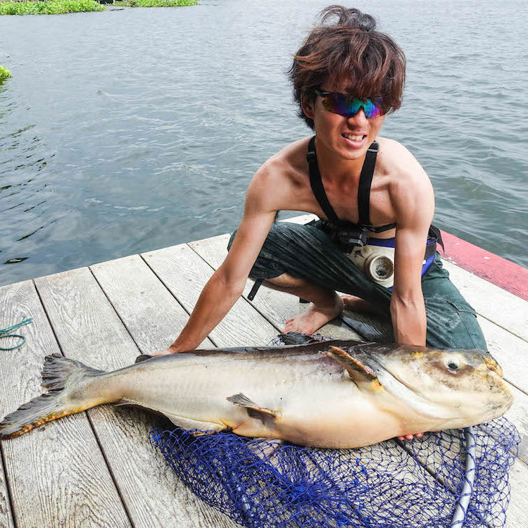 ヨネスケさんのプロフィール写真